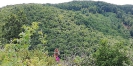 Bél-kő